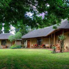 Отель Chrislin African Lodge 4* Бунгало с различными типами кроватей фото 6