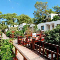 Отель Club Phaselis 5* Стандартный номер с разными типами кроватей фото 4