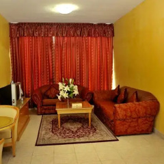 Liwa Plaza Hotel Apartments комната для гостей фото 5