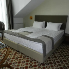 Central Hotel Sofia 4* Номер Комфорт с различными типами кроватей фото 6