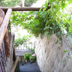 Отель Naturels Cave House Ургуп фото 3