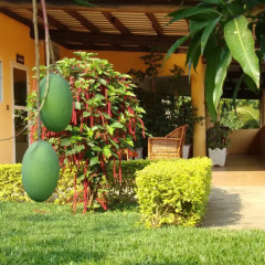 Отель Aparthotel Jardin Tropical 3* Апартаменты с различными типами кроватей фото 3