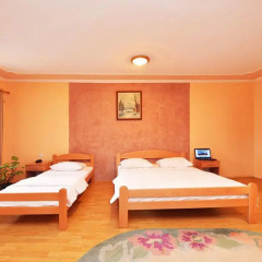 Отель Guest House Vila Bor Стандартный номер фото 3