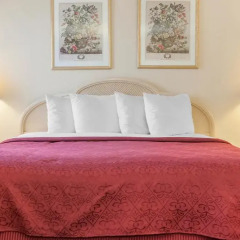 Отель Quality Inn Effingham 2* Стандартный номер с различными типами кроватей фото 2