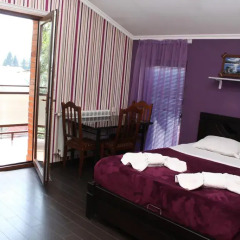 Отель Majestic Georgia 3* Полулюкс с различными типами кроватей фото 5