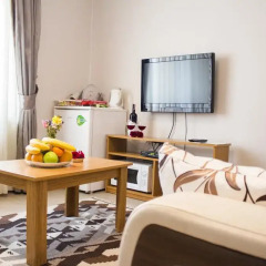 Апартаменты Feyza Apartments Апартаменты с различными типами кроватей фото 29