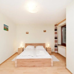 Отель Apartament Centrum Закопане комната для гостей фото 3