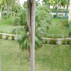 Отель Sandcastles Penthouse A28 Rooftop Patio w/ Outdoor Shower