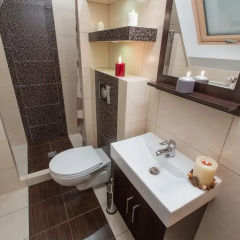 Отель Apartamenty Bella Vista Закопане ванная