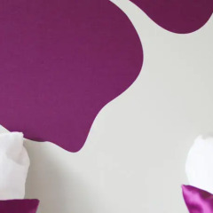 Отель Van Der Valk Hotel Oostkamp-Brugge Бельгия, Осткамп - отзывы, цены и фото номеров - забронировать отель Van Der Valk Hotel Oostkamp-Brugge онлайн удобства в номере фото 2