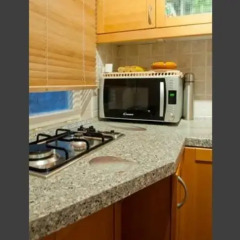Отель Arpa Flat Embassy Будапешт в номере фото 2