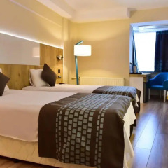 Agaoglu Otel 3* Стандартный номер с различными типами кроватей фото 7