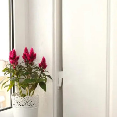 Отель Flores Guest House 4* Улучшенный номер с различными типами кроватей фото 21