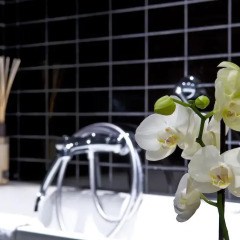 Отель TRYP by Wyndham Antwerp 3* Стандартный номер фото 7