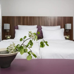 AKZENT Hotel Laupheimer Hof 3* Стандартный номер с двуспальной кроватью фото 2