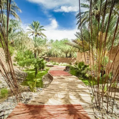 Отель Riad Lamane Марокко, Загора - отзывы, цены и фото номеров - забронировать отель Riad Lamane онлайн фото 5