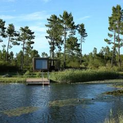 Отель Cocoon Eco Design Lodges фото 2