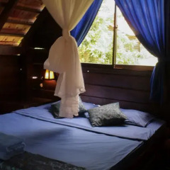Отель Nature Lodge 2* Бунгало с различными типами кроватей фото 27