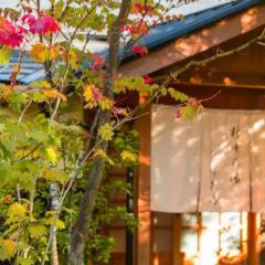 Отель Ryokan Miyama Sansou Минамиогуни фото 13