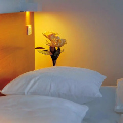 Hotel Delminivm 3* Стандартный номер с разными типами кроватей фото 2