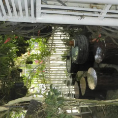 Отель Flower Homestay Далат
