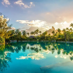 Отель The St Regis Bora Bora Resort фото 3