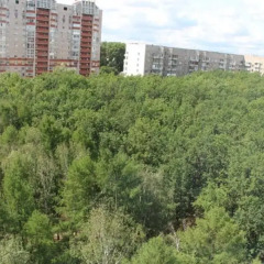 Гостиница 33 Kvartirki Apartment on Ulitsa Rossiyskaya 10 в Уфе отзывы, цены и фото номеров - забронировать гостиницу 33 Kvartirki Apartment on Ulitsa Rossiyskaya 10 онлайн Уфа