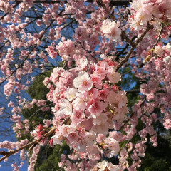 Daiichi Fuji Hotel пляж
