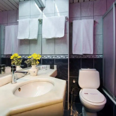 Hotel Büyük Sahinler 4* Люкс с различными типами кроватей фото 6
