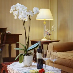 Hotel Excelsior Palace Palermo 4* Номер Делюкс с разными типами кроватей фото 5