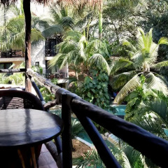 La Tortuga Hotel & Spa - Adults Only 4* Полулюкс с разными типами кроватей фото 18