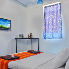 Отель Green Garden Ayurvedic Pavilion Стандартный номер с различными типами кроватей фото 3