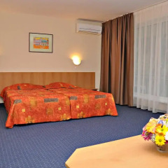 Hotel Gradina 3* Стандартный номер с различными типами кроватей