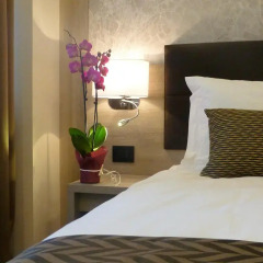 Hotel Milano 3* Номер Классик фото 4