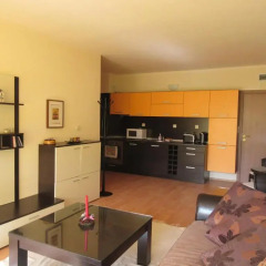 Апартаменты Eliza Apartment Sequoia Боровец в номере фото 2