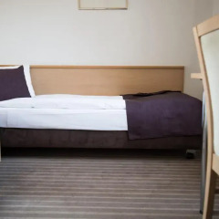 Olympia Hotel Zurich 3* Стандартный номер с различными типами кроватей фото 7