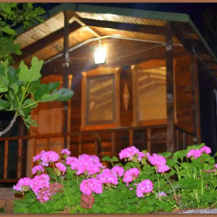 Montenegro Motel Стандартный номер с различными типами кроватей фото 2