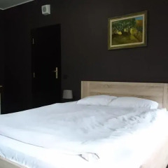 Отель TES Flora Apartments Болгария, Боровец - отзывы, цены и фото номеров - забронировать отель TES Flora Apartments онлайн комната для гостей фото 3