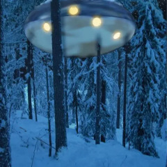 Tree Hotel 5* Стандартный номер с различными типами кроватей фото 17