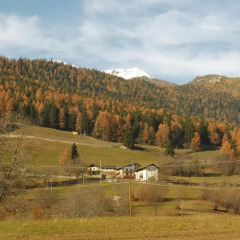 Отель Agriturismo Plan d'Avie Аоста фото 7
