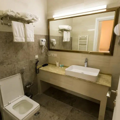 Гостиница Альянс 3* Люкс с разными типами кроватей фото 3