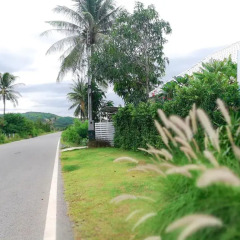 Отель Mango Home Resort Таиланд, Пак-Нам-Пран - отзывы, цены и фото номеров - забронировать отель Mango Home Resort онлайн фото 11