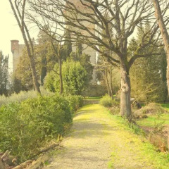 Отель Colonica Torre Del Castellano Реггелло фото 9