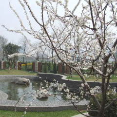 Green Park Villa Hotel Tianjin