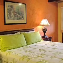 Отель Coast Inn and Spa Fort Bragg 2* Стандартный номер с различными типами кроватей фото 3