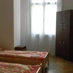 Gold Lion Hostel комната для гостей фото 5