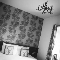 Отель The Drymen Inn интерьер отеля фото 3