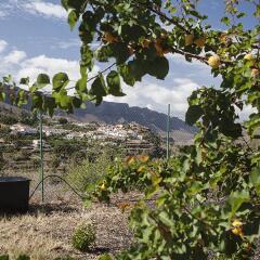 Отель EcoTara Canary Islands Eco-Villa Retreat