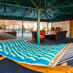 Best Western Orlando Gateway Hotel детские мероприятия