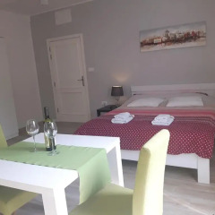 Апартаменты Apartment Grgurević Студия с различными типами кроватей фото 3